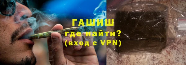 гашик Вяземский