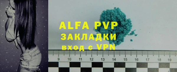 PSILOCYBIN Вязники