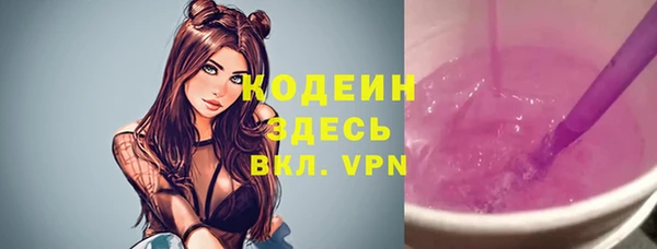 гашик Вяземский