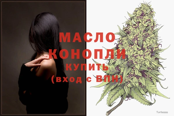 индика Вязьма