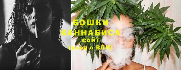 гашик Вяземский