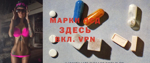 гашик Вяземский