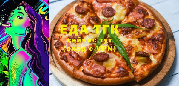 индика Вязьма